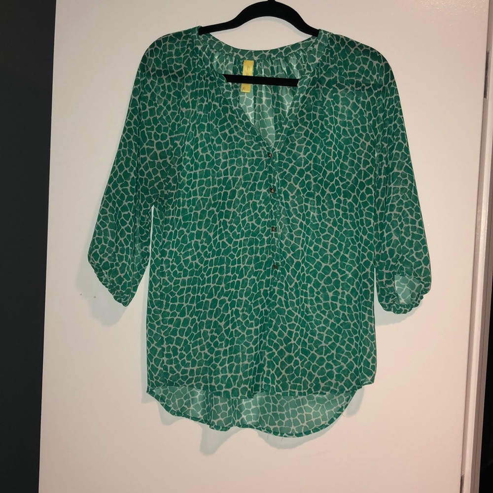 Francesca’s green giraffe print top.  Size M.